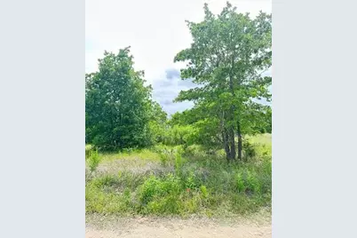 136A Wild Bird Loop, Smithville, TX 78957 - Photo 4