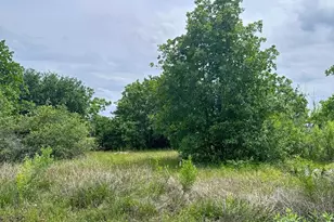 136A Wild Bird Loop, Smithville, TX 78957 - Photo 1