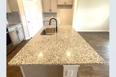 19616 Ann Richards Avenue, Manor, TX 78653 - Photo 14