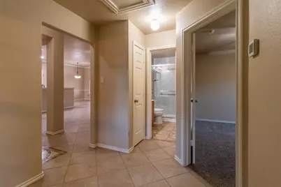 233 Birch Drive, Kyle, TX 78640 - Photo 32