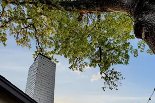 1602 Thornridge Rd, Austin, TX 78758 - Photo 38