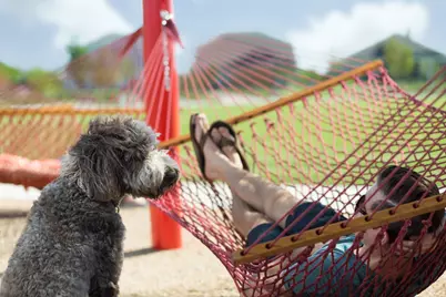 1022 Lucinda Williams Drive, Austin, TX 78744 - Photo 12