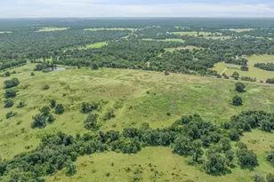 Tbd Cr 707A, Groesbeck, TX 76653 - Photo 10