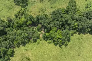 Tbd Cr 707A, Groesbeck, TX 76653 - Photo 12