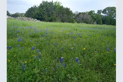 75 Four T Ranch Road, Georgetown, TX 78633 - Photo 6