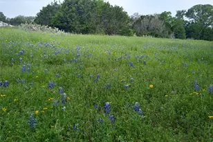 75 Four T Ranch Rd, Georgetown, TX 78633 - Photo 6