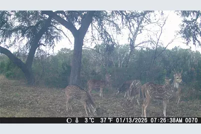 641 Patterson Creek Road, Leakey, TX 78873 - Photo 32