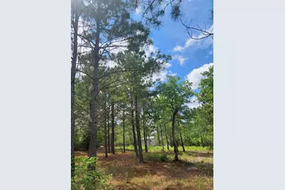 124 Paintbrush Lane, Bastrop, TX 78602 - Photo 12