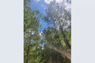 124 Paintbrush Lane, Bastrop, TX 78602 - Photo 2