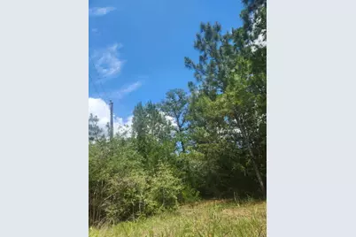 124 Paintbrush Lane, Bastrop, TX 78602 - Photo 4