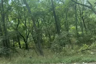 3802 Lower Dr, Austin, TX 78725 - Photo 1