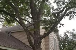 316 1/2 E 7th St, Georgetown, TX 78626 - Photo 34