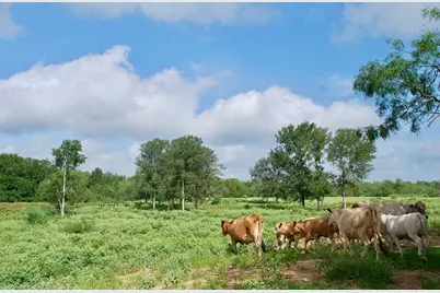 9590 Maynard Hallmark Road, Flatonia, TX 78941 - Photo 12
