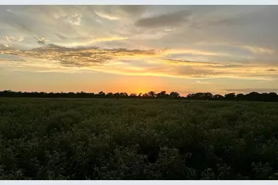 9590 Maynard Hallmark Road, Flatonia, TX 78941 - Photo 30