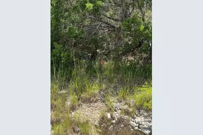 Lot 249 Woodhollow Drive, Bertram, TX 78681 - Photo 8