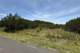 Lot 249 Woodhollow Dr, Bertram, TX 78681 - Photo 10