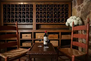 17743 W Reed Parks Rd, Jonestown, TX 78645 - Photo 12