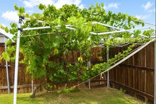 693 Durian Loop, Buda, TX 78610 - Photo 22