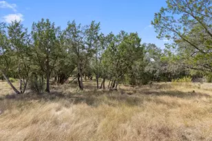 717 Brock Hollow Dr, Johnson City, TX 78636 - Photo 22