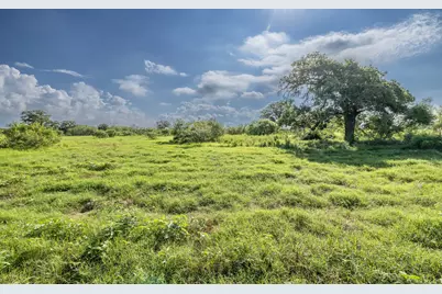 Lot 1-C County Road 491, Gonzales, TX 78629 - Photo 4