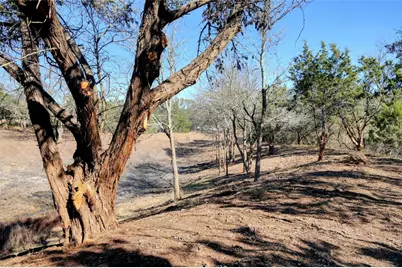 Lot A Ranch Rd 165 Road, Blanco, TX 78606 - Photo 24