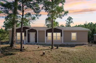 273 River Forest Dr, Bastrop, TX 78602 - Photo 1