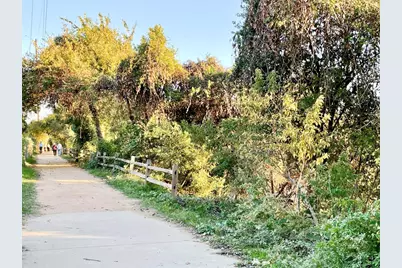 601 Hearn Street #207, Austin, TX 78703 - Photo 40