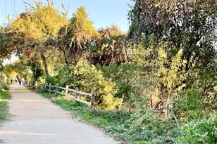 601 Hearn St, Austin, TX 78703 - Photo 40