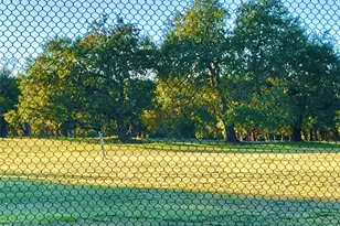 601 Hearn St, Austin, TX 78703 - Photo 32