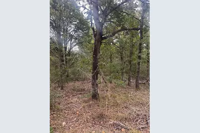 Lot 6 Spruce Street, Paige, TX 78659 - Photo 4