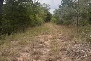 Lot 6 Spruce St, Paige, TX 78659 - Photo 1