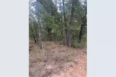 Lot 6 Spruce Street, Paige, TX 78659 - Photo 2
