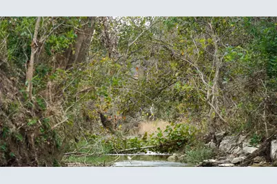 000 River Run, Leander, TX 78641 - Photo 32