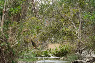 000 River Run, Leander, TX 78641 - Photo 32