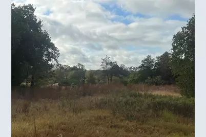 Tract 25 Walleye Creek, Lexington, TX 78947 - Photo 2