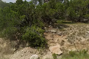 3115 Nobel Circle, Lago Vista, TX 78645 - Photo 1