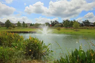 1741 Mexican Heather Dr, Leander, TX 78641 - Photo 18