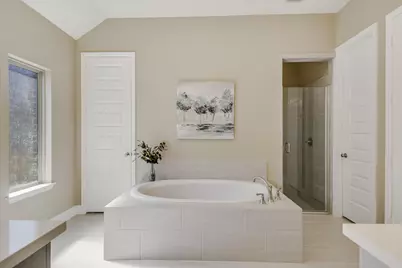 176 Cyrus Milton Drive, Buda, TX 78610 - Photo 12