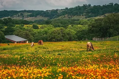 1198 N Walnut Springs Road, Johnson City, TX 78636 - Photo 40