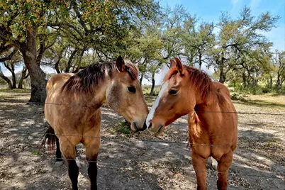 1198 N Walnut Springs Road, Johnson City, TX 78636 - Photo 4