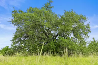 1198 N Walnut Springs Road, Johnson City, TX 78636 - Photo 22