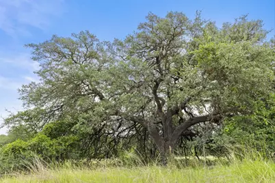 1198 N Walnut Springs Road, Johnson City, TX 78636 - Photo 18