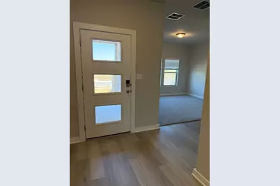 251 Red Tail Hawk Lane, Cedar Creek, TX 78612 - Photo 4