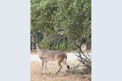 Tbd Fm 484, Canyon Lake, TX 78133 - Photo 6