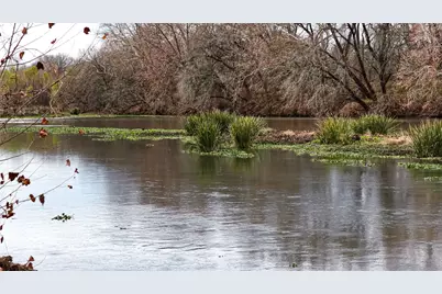 256 Greasy Bend Road, Smithville, TX 78957 - Photo 14