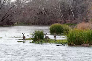 256 Greasy Bend Rd, Smithville, TX 78957 - Photo 1