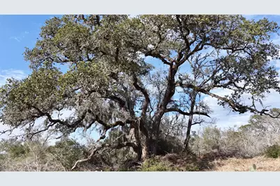 256 Greasy Bend Road, Smithville, TX 78957 - Photo 24
