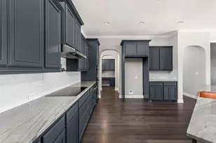 316 Bold Sundown, Liberty Hill, TX 78642 - Photo 6