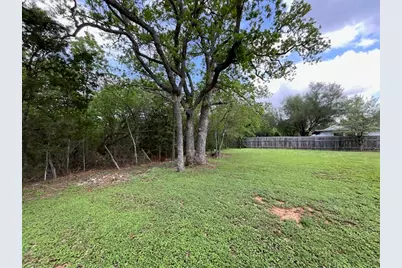 117 Allison Cove, Elgin, TX 78621 - Photo 6