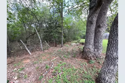 117 Allison Cove, Elgin, TX 78621 - Photo 12